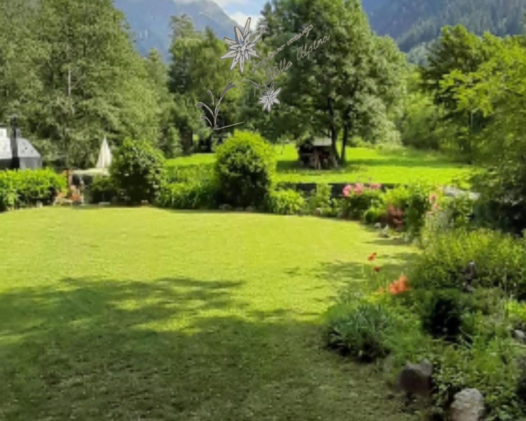 Soggiorno Vacanze Stella Alpina Temu Exterior photo